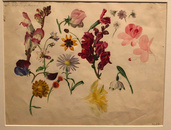 Sinebrychoffin taidemuseo 24.3.2022 - "Linné ja pieni pala paratiisia"-näyttelyvierailu.